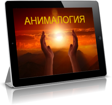 Анималогия