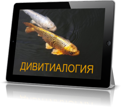 Дивитиалогия
